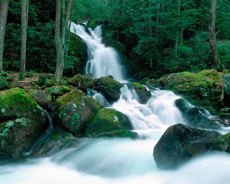 Blurred waterfall streem in forest